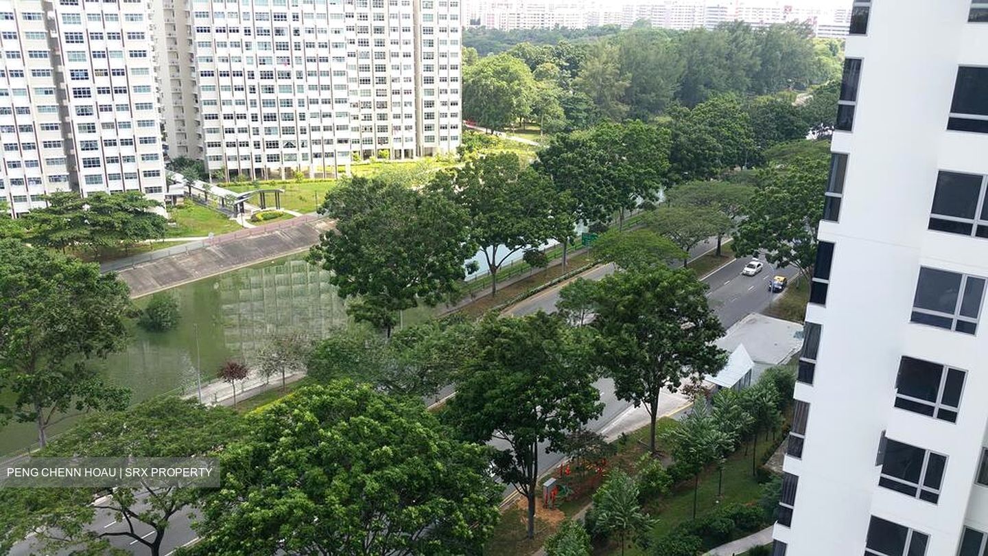 Riversound Residence (D19), Condominium #509256821